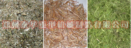 大型茄子网站下载APP